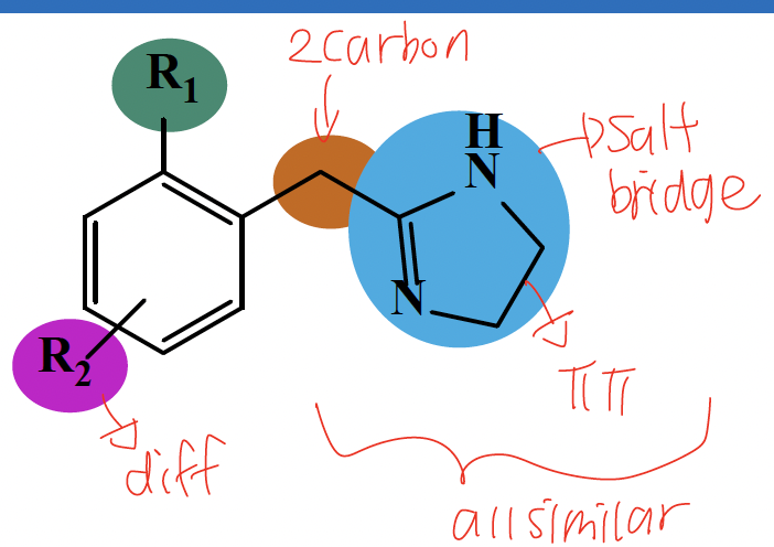 <ol><li><p>imidazoline in place of the basic amine</p></li><li><p>single carbon link between aromatic and imidazoline</p></li><li><p>Ortho substituent R1 must be lipophilic and an aromatic ring is required</p></li><li><p>Bulky lipophilic meta and/or para substituents (R2) improve alpha 1 selectivity and form hydrophobic interaction</p></li></ol><p></p>