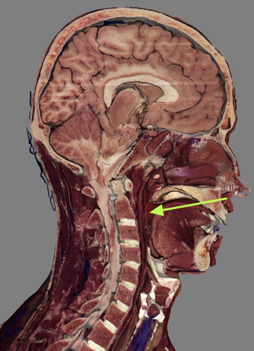 <p>*Not visible in this view</p>
