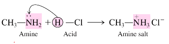 <p><span style="font-family: Calibri, sans-serif; line-height: 107%;"><span>(methylamine ) CH</span><sub><span>3</span></sub><span>—NH</span><sub><span>2</span></sub><span> + (Hydrochloric acid) H-Cl</span></span><span style="line-height: 107%;"><span>&nbsp;</span></span><span style="font-family: Calibri, sans-serif; line-height: 107%;"><span>→ (amine salt) CH</span><sub><span>3</span></sub><span>—NH</span><sub><span>3</span></sub><sup><span>+</span></sup><span>Cl</span><sup><span>-</span></sup></span></p>