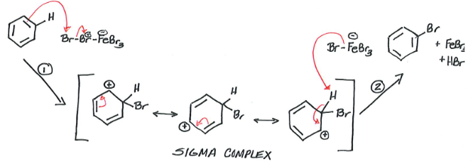<ul><li><p>Reagents: Benzene, Br2, FeBr3</p></li><li><p>Products: Bromobenzene (major) + HBr &amp; FeBr3 (minor)</p><p>Br2 is not electrophilic enough to react with benzene, so catalyst (FeBr3) is combined with Br2 to create electrophilic reagent which allows for bromination.</p></li><li><p>Same reaction can occur with Cl2 and AlCl3</p></li></ul><p></p>