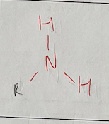 <p>Class: Amines<br>Example: Amino Acids</p>