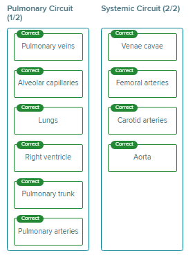 <p>systemic: vc, femoral arteries, carotid arteries, aorta</p><p>pulmonary: the rest</p><p></p>