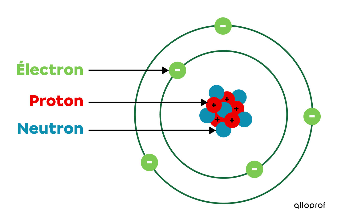 <p>Quel est le nom des cercles qui entourent le noyau?</p>