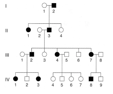 <p><span>The following pedigree is for a rare, but relatively mild, hereditary disorder of the skin.</span></p><p><span>Consider parents, III-4 and III-5. This couple has four children but no one is affected. What is the probability of this given the genotype of this parents?</span></p><p>1/8</p><p></p><p>&nbsp;</p><p>1/16</p><p>&nbsp;</p><p>1</p><p>&nbsp;</p><p>1/2</p><p>&nbsp;</p><p>1/4</p>