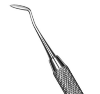 <p>Hollenback Carver</p>