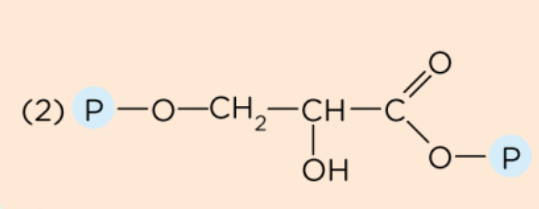 <p>What structure is this?</p>