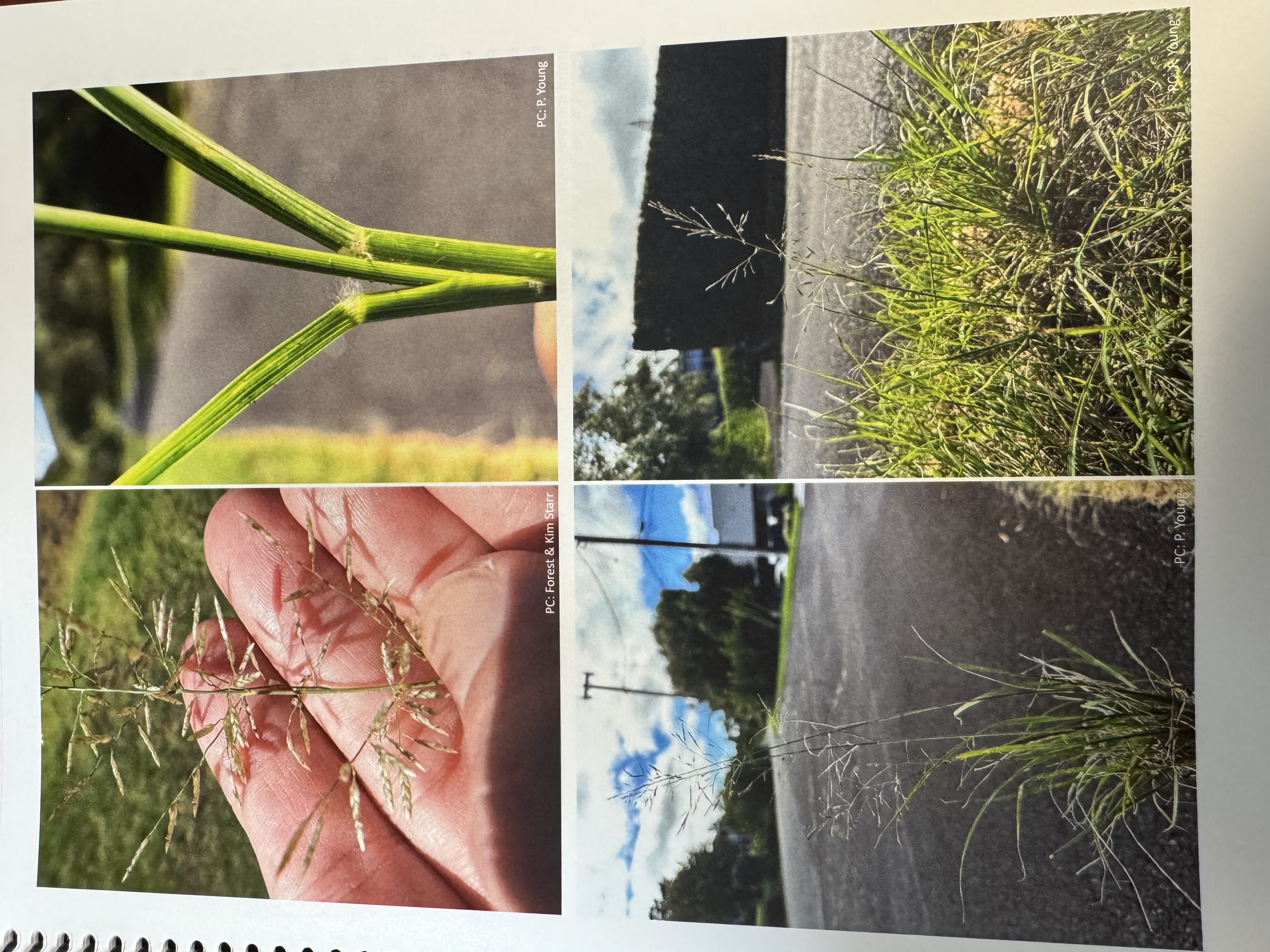 <img src="blob:null/885c22c2-2b05-4bd0-a85e-962f3a2c0367"><p></p>