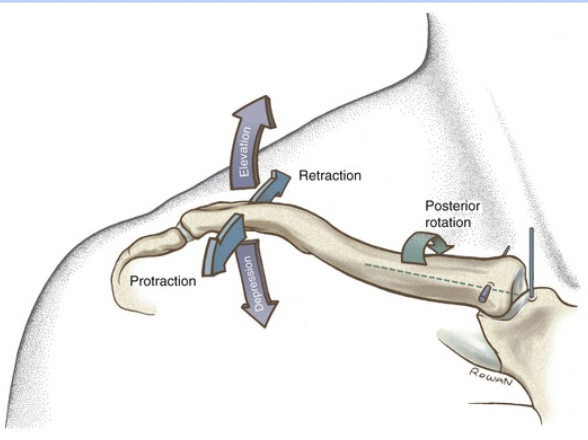 <p>How many planes can this joint move in?</p>