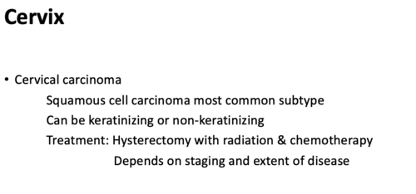 <p>cervical carcinoma</p>