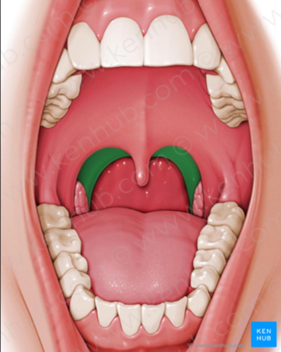 <p><em>identify the structure:</em></p>