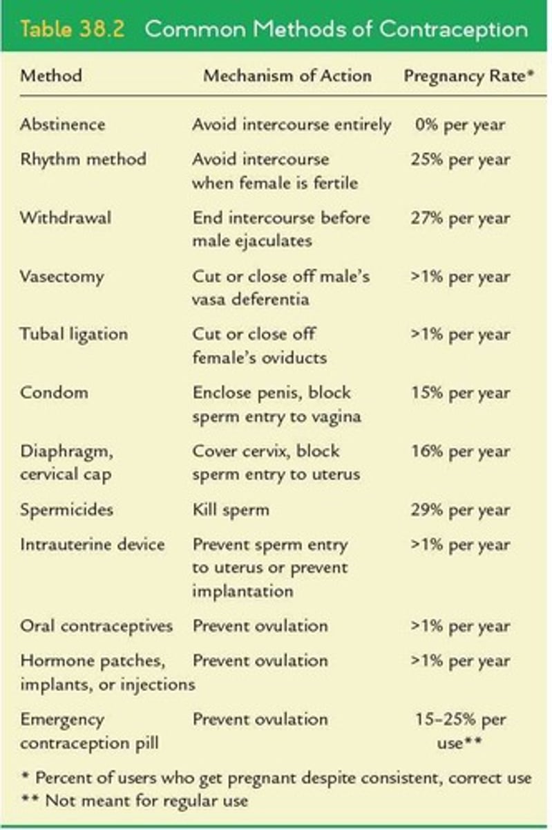 <p>Methods preventing pregnancy during sexual intercourse.</p>