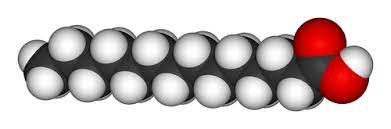 <p>long chain of carbon atoms with single bonds only</p><p>solids at room temperature</p>