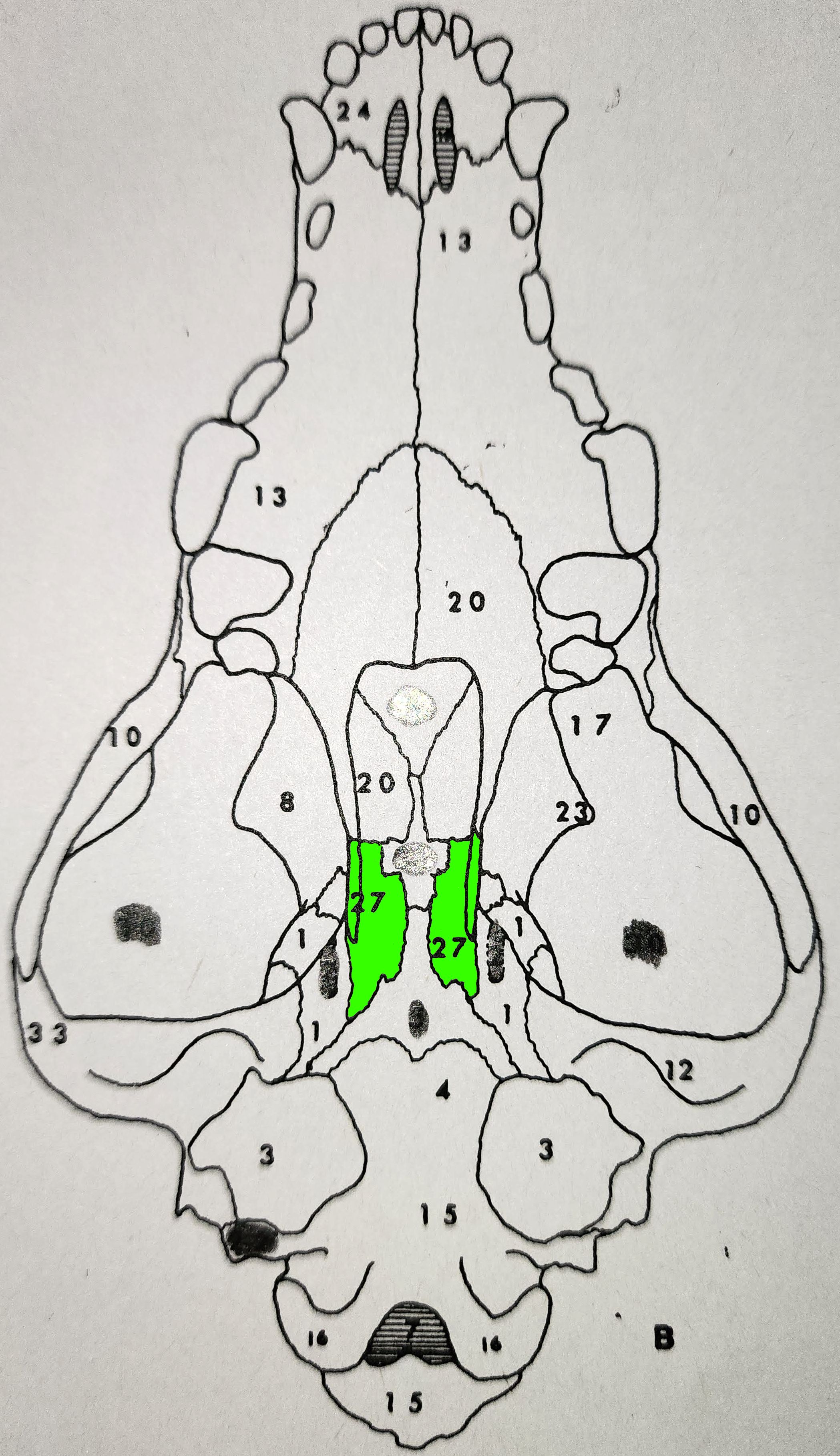 knowt flashcard image