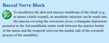<p>Buccal Nerve Block To anesthetize the skin and mucous membrane of the cheek (e.g., to suture a knife wound), an anesthetic injection can be made into the mucosa covering the retromolar fossa, a triangular depression posterior to the 3rd mandibular molar tooth between the anterior border of the ramus and the temporal crest (on the medial side of the coronoid process of the mandible).</p>