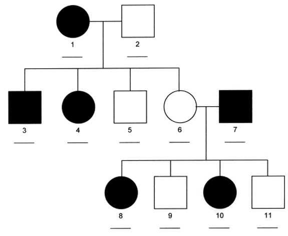 <p><strong>X-linked Dominant Inheritance</strong></p><ul><li><p>Affects either sex (more often females)</p><ul><li><p>Often deadly for males</p></li><li><p>X-inactivation may play a role</p></li></ul></li><li><p>If mother is affected</p><ul><li><p>50% chance of child being affected</p></li><li><p>Regardless of the sex of the offspring</p></li></ul></li><li><p>If father is affected</p><ul><li><p>100% chance daughter is affected</p></li><li><p>0% chance son is affected</p></li></ul></li></ul><p></p>