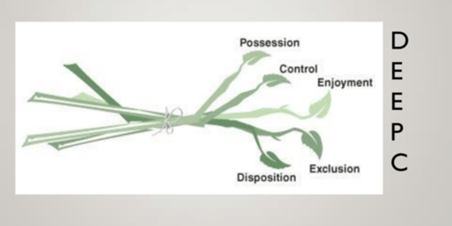 <p>Ownership of all legal rights: disposition, enjoyment, exclusion, possession, control.</p>