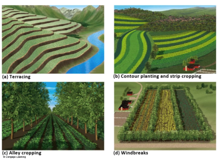 <p>Maintaining or improving soil fertility.</p>