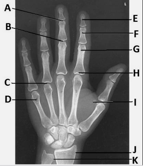 <p>What is H?</p>
