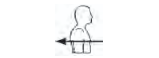 <p>Postérieur (dorsal)</p>