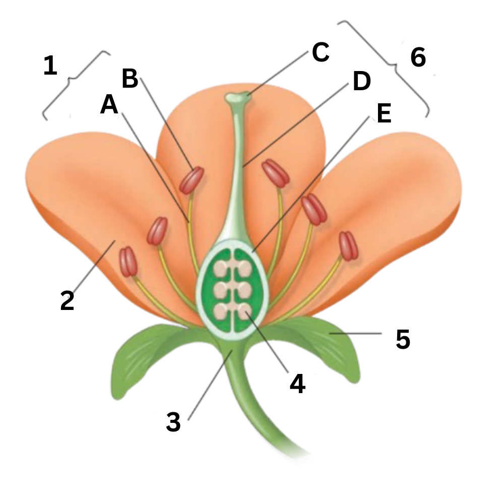 <p>What part is no. 2?</p>