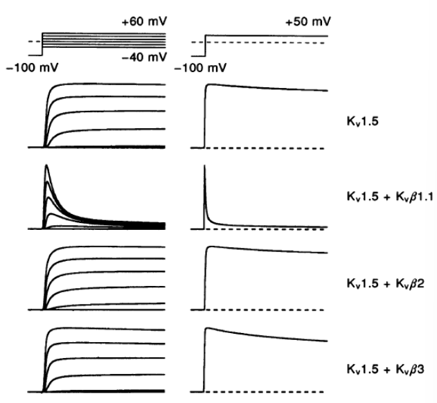 <p>explain the graph</p>