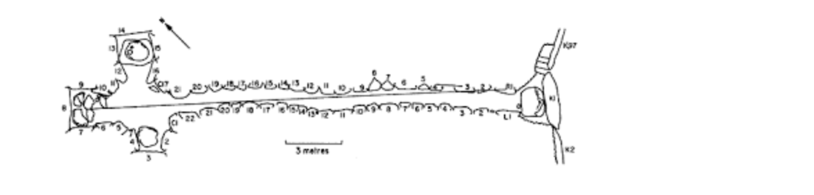 <p><span>What is the term for the way space is organized in the Newgrange Tomb?</span></p><ul><li><p>Axial plan</p></li><li><p>Corbeled arch</p></li><li><p>Corbeled vault</p></li><li><p>Post and lintel</p></li></ul><p></p>