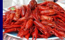 <ul><li><p>Aquatic forms</p></li><li><p>Can serve as intermediate hosts</p></li></ul><p></p>