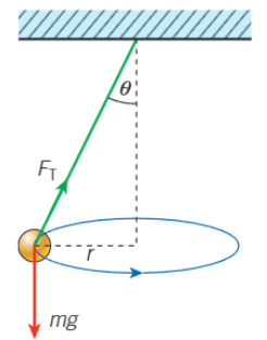 <ul><li><p>Tsinθ = mv²/r</p></li><li><p>Tcosθ = mg</p></li><li><p>tanθ = v²/rg</p></li></ul><p></p>