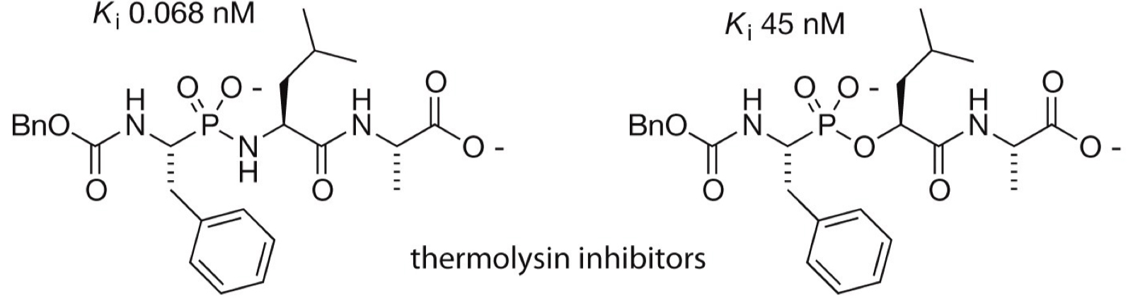 <p>Mimics tetrahedral state of protease with phosophate/phosphoramidate</p>