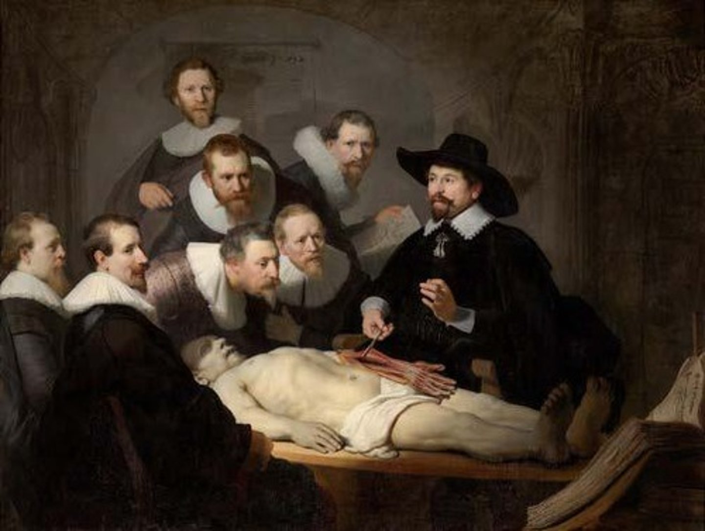 <p>The study of the structure of the body and its parts.</p>