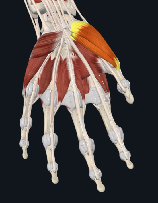 <p>What is this</p>