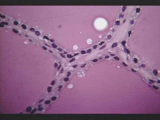 <p>What is this image?</p>