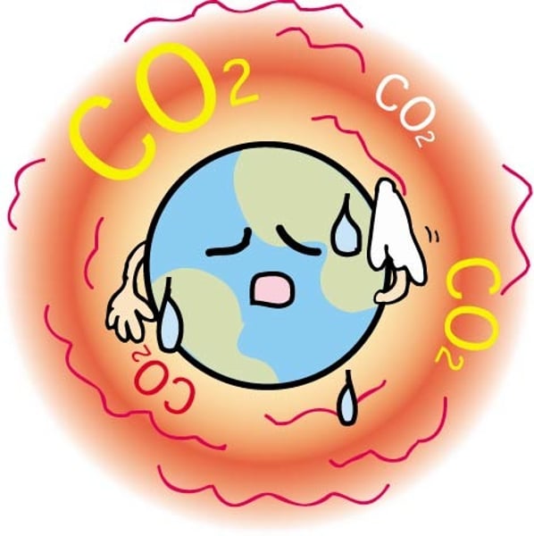 <p>Carbon Dioxide and Methane</p>