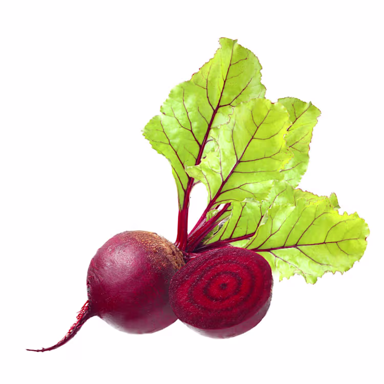 <p>Beetroot</p>