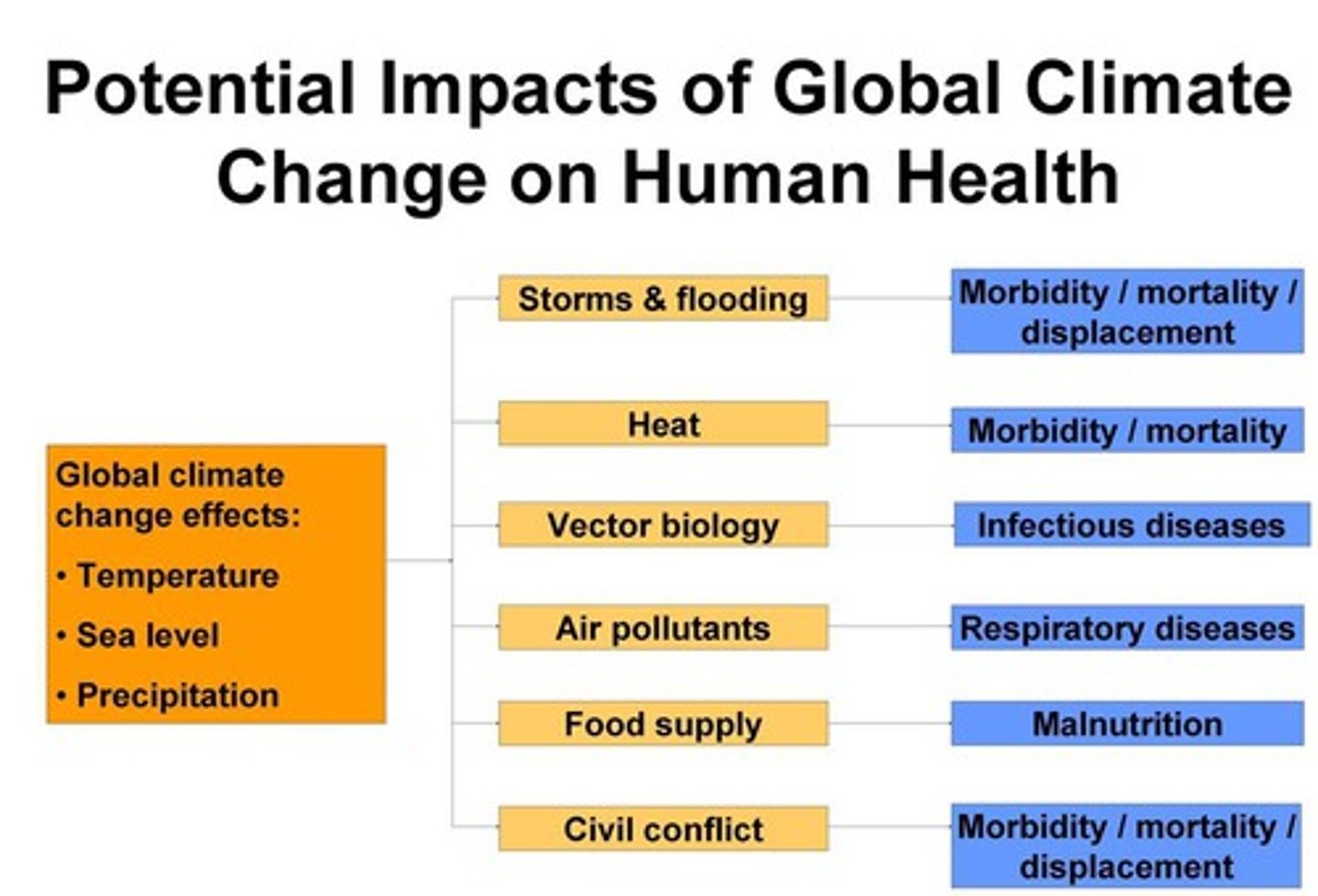 <p>- colder weather = more susceptible to disease (e.g., flu)<br><br>- drought can increase vulnerability<br><br>- waterborne diseases from stagnant water (hot countries) or contaminated water from flooding (wet countries) e.g., cholera<br><br>- drought = crop failure and famine<br><br>- allergies = hay fever, asthma<br><br>- SAD = seasonal patterns of depression<br><br>- Chemicals= soft water can increase heart disease, aluminium in water may cause Alzheimer's disease, radon in granite rocks (SW England) can increase some cancers</p><p>uv light radiation = skin cancer </p><p></p>