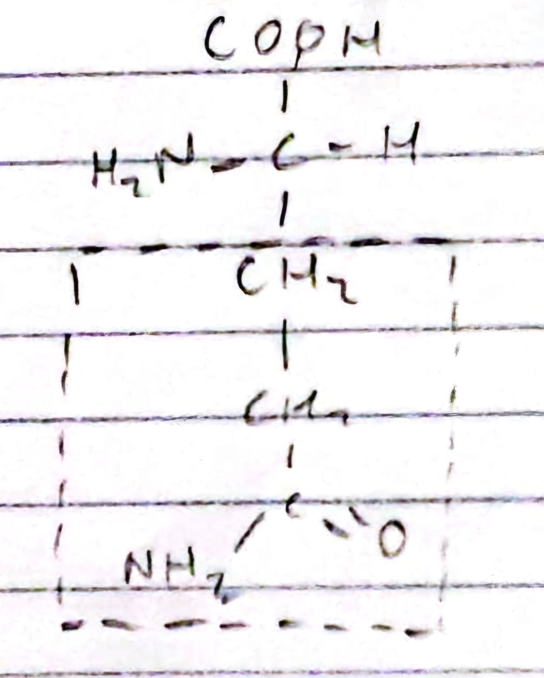 knowt flashcard image