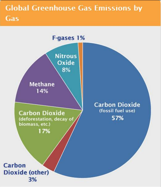 <p><strong>Know From Most-To-Least on Table</strong></p><ol><li><p>CO2 (Carbon Dioxide)</p><ul><li><p>Highest concentration/ppm</p></li></ul></li><li><p>CH4 (Methane)</p><ul><li><p>Ppb</p></li></ul></li><li><p>N2O (Nitrous Oxide)</p><ul><li><p>ppb</p></li></ul></li><li><p>CFC-11 (Chlorofluoro-carbon-11)</p><ul><li><p>ppt</p></li></ul></li><li><p>CF4 (Perfluoromethane)</p><ul><li><p>Atmospheric Lifetime is around 50,000 years (longest)</p></li></ul></li><li><p>HFC-23 (Hydrofluoro-carbon-23)</p><ul><li><p>Highest GWP</p></li></ul></li></ol><p></p><p><strong>GWP (Global Warming Potential)</strong></p><ul><li><p>Measure of how much heat a greenhouse gas traps in the atmosphere over 100 years (CO2 is 1)</p></li></ul><ul><li><p>PPB: Fore very billion parts of gas in an atmosphere, 1745 of them are methane</p></li><li><p>PPM: For every million, thus there is much more CO2 concentration</p></li><li><p>Rate of change: how much it is increasing per year</p></li></ul><p></p><p><strong><u>Global Greenhouse Gas Emissions by Gas</u></strong></p><p></p><p>CO2 from Fossil Fuels: 57%</p><p></p><p>CO2 from deforestation/decay: 17%</p><p></p><p>CO2 (other): 3%</p><p></p><p>CH4: 14%</p><ul><li><p><span>Permafrost is thawing and methane is releasing</span></p></li><li><p><span>Also in swamps methane releases</span></p></li></ul><p></p><p>N2O (Nitrous Oxide): 8%</p><ul><li><p>Overuse of fertilizers leads to runoff into water bodies creating DEAD ZONES</p><ul><li><p><span>Excess nitrogen in soil also can lead to the release of N2O (nitrous oxide) which is a potent greenhouse gas</span></p></li></ul></li></ul><p></p><p>F-Gasses (CFC-11, HFC-23, CF4): 1%</p><ul><li><p>Very powerful from a global warming perspective</p></li><li><p>Luckily we release very few of them</p></li><li><p>Largely synthetic, we manufacture them</p></li></ul><p></p>