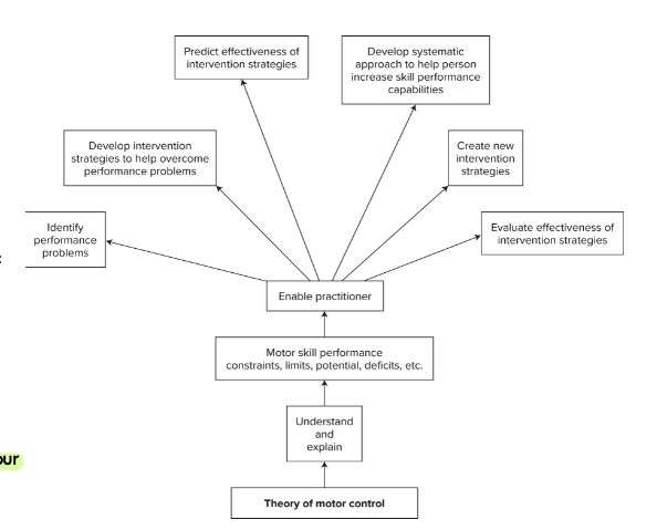 <p>describes and explains how the nervous system coordinates movement to successfully perform a variety of motor skills in a variety of environments- is a framework for interpreting behavior, and helps generate new hypothesis for how movement occurs- guides clinical practice and working hypothesis to understand our examination and treatment </p>