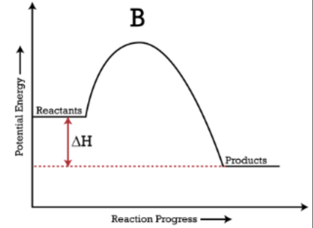 <p>The curve goes "downhill"; products are lower in energy than reactants.</p>
