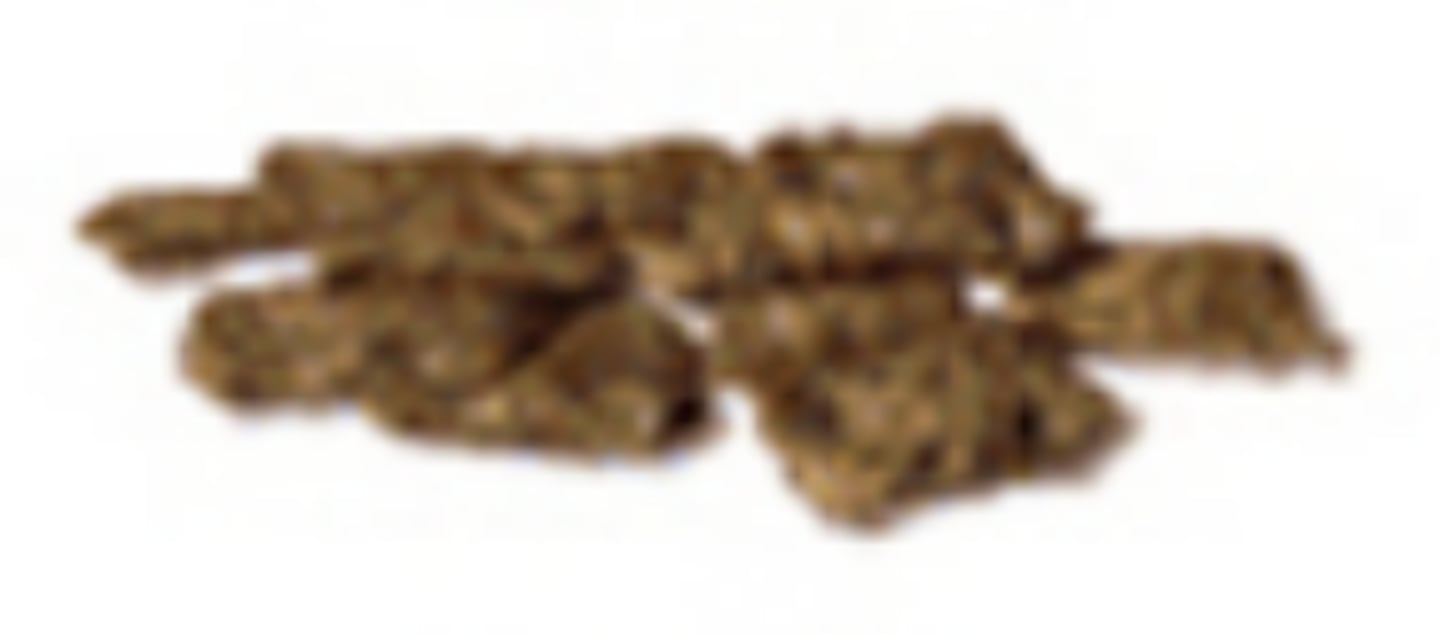 <p>mushy consistency w/ ragged edges</p><p>- inflammation</p>