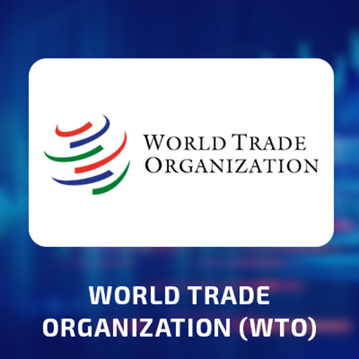 <p>What organization established in 1995 influenced a global economy?</p>