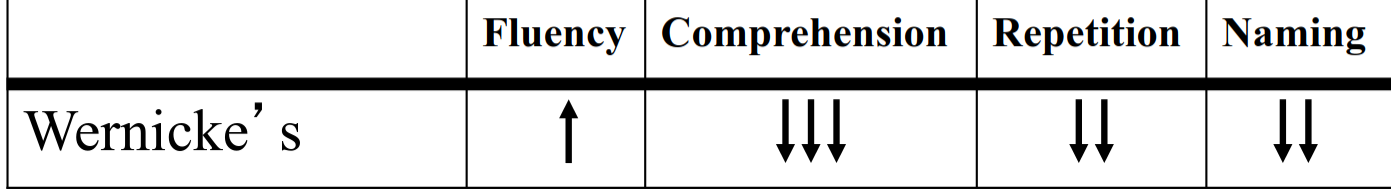 <p>• <u>Fluent, paraphasic speech that makes no sense with neologisms, paraphasias</u></p><p>• Comprehension markedly impaired</p><p>• Circumscribed lesion of posterior superior temporal gyrus</p><p></p><p>• Usually a fairly transient state</p><ul><li><p>Evolves into anomic aphasia</p></li></ul><p>• Partial lesions of posterior, superior temporal lobe → better outcome</p><ul><li><p>If include more than 50% of this region, poorer outcome</p></li></ul><p></p>