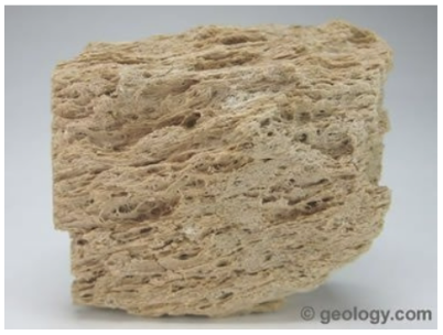 <ul><li><p>Blanket topography </p></li><li><p>Well sorted </p></li></ul><p></p>