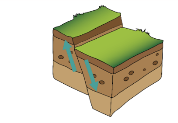 <p>Identify the fault in the illustration above.</p>