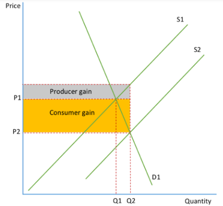 <ul><li><p>The more inelastic demand, the <mark data-color="blue" style="background-color: blue; color: inherit">more the price falls</mark></p></li></ul><p></p><ul><li><p>little change in output</p></li></ul><p></p><ul><li><p>subsidies on goods with inelastic demand are <mark data-color="blue" style="background-color: blue; color: inherit">ineffective at increasing output-</mark> cheaper for the gov to impose since output increases by less and so the gov have to pay the subsidy on less goods</p></li></ul><p></p>