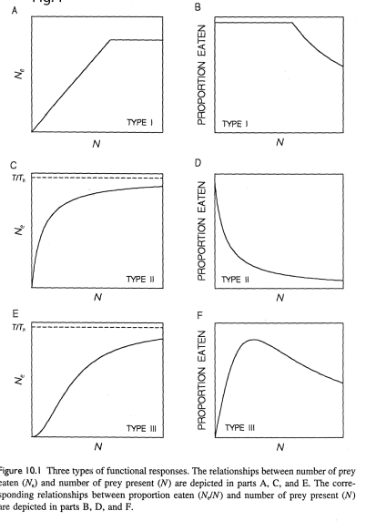 <p>WHat does this graph show</p>