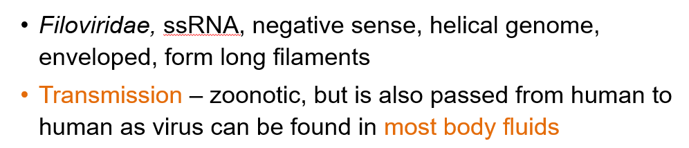 <p>Transmission is zoonotic but can also occur from human to human through most body fluids.</p>