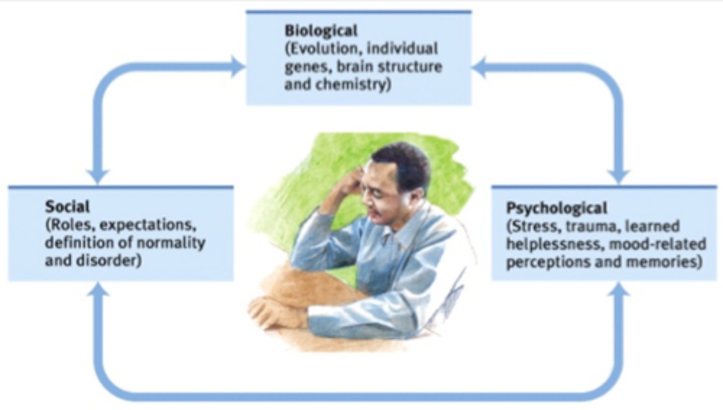 <p>a contemporary perspective which assumes that biological, psychological, and sociocultural factors combine and interact to produce psychological disorders</p>