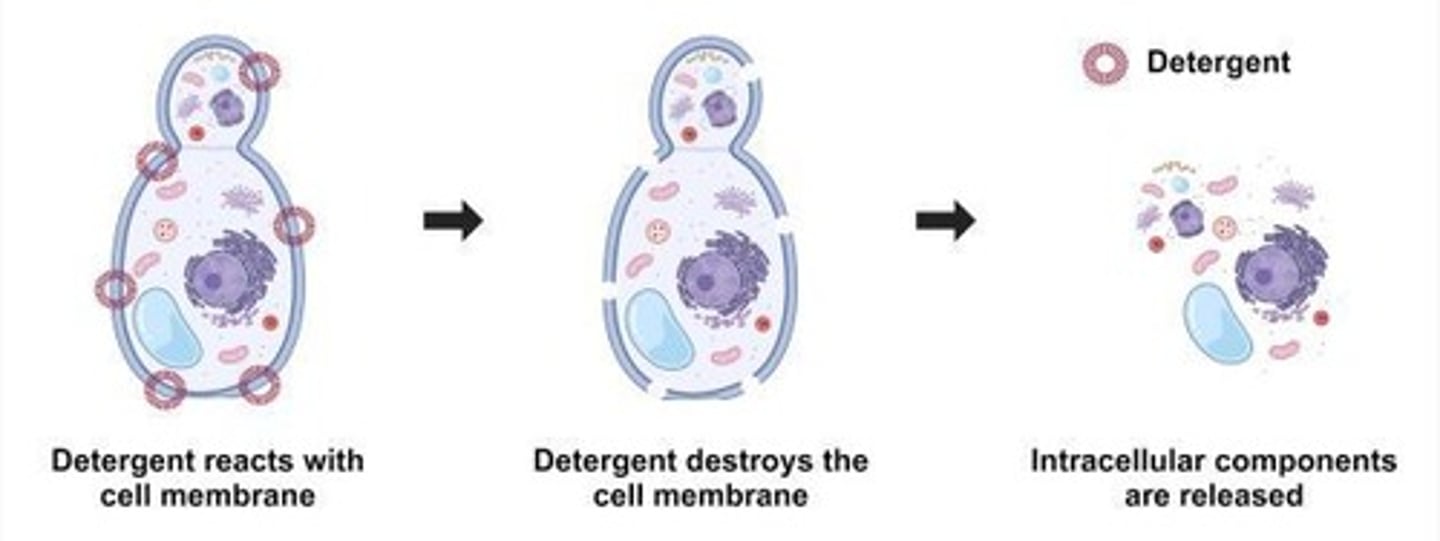 <p>Using high frequency sound waves to create rapid pressure changes in liquid.</p>