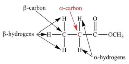 <p><span style="background-color: transparent;"><span>A carbon adjacent to a carbonyl</span></span></p>